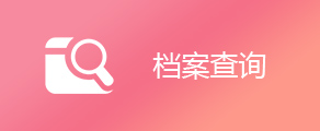 档案查询